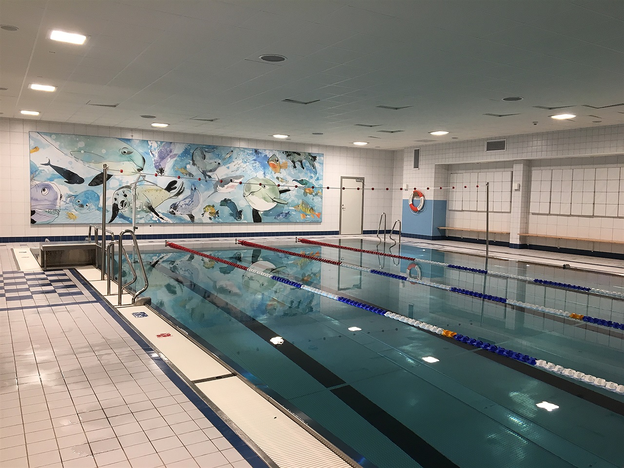 Bassängen i Bredäng simhall med väggmålning av fiskar och sälar